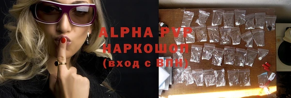 гашик Няндома