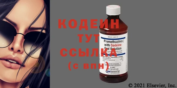гашик Няндома