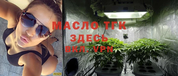 гашик Няндома