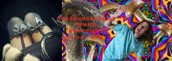 гашик Няндома