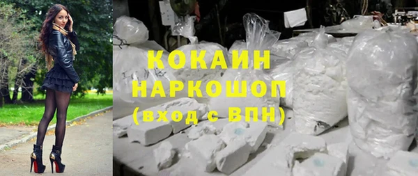 гашик Няндома
